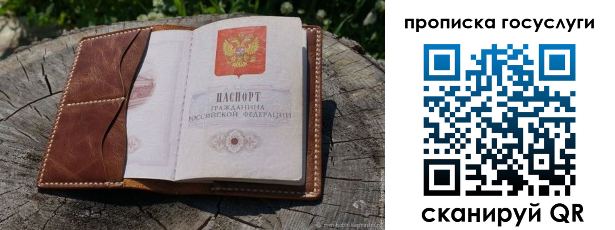 прописка для школы в Тереке